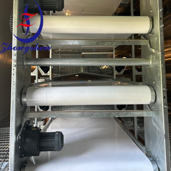Customization Poultry PP/PE Manure Removal Belts from Zhongshen