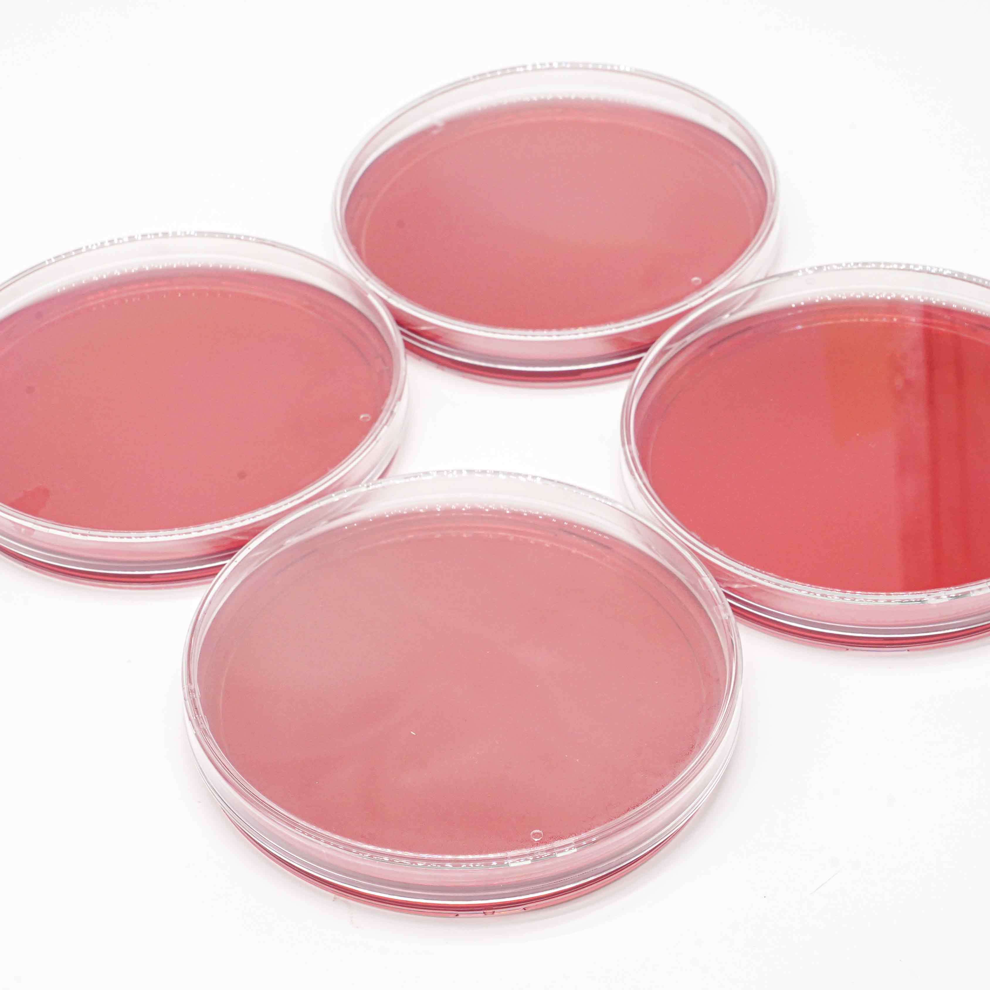 Lecithin Tween 80 Tryptic Soy Agar TSAWLP Sterile Plate For Microbiology Testing