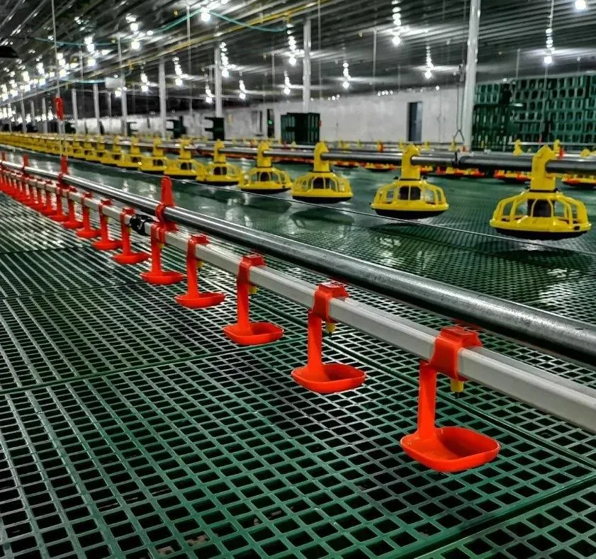 256 Unit Capacity Automatic Poultry Farming Equipment with Hot-DIP Galvanized Steel and Automatic Feeding System