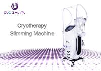 5 dans 1 système automatique de contrôle de température de machine de Cryolipolysis de thérapie d'ultrason