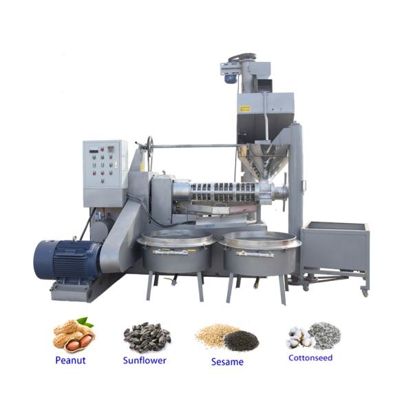 Commercial Screw Camellia Oil Extraction Machine 2.2 KW Vacuum Power 1900KG Weight Industrial Oil Presser