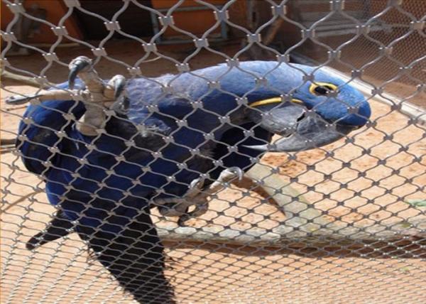 Inox Flexible Stainless Steel Bird Mesh For Bird Netting / Parrot Mesh