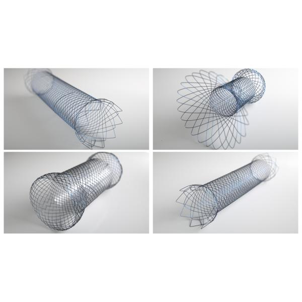 Кремний Stent утечки 18mm Oesophagus Aixstent Esophageal