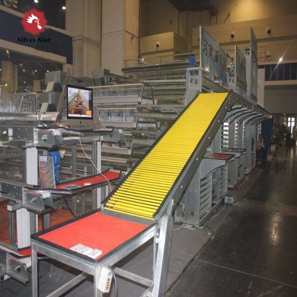 Poultry Cage/cages for Laying Hens Used/chicken Breeding Equipment