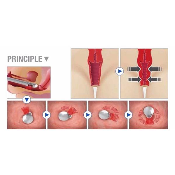 Salon Multifunction Fractional Co2 Laser Equipment For Acne Scars Medical