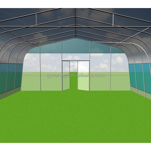 Agricultural Single-Span Tomato Greenhouse Frame PE Plastic Film for Plant Growth