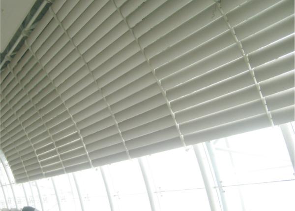 Silver decoration Aluminum Sun Shade System European standard , Strip Sunshade Panel