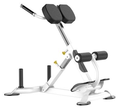 Rohs Roman Chair Back Extension Exercise Machine for Gym