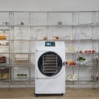 Home Use Coffee Freeze Dryer Vacuum Food Fruit Freeze Dryer SUS 304