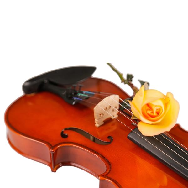 china advanced professional handmade stringed instrument China made brand all solid 4/4 44 violin [Back panel material