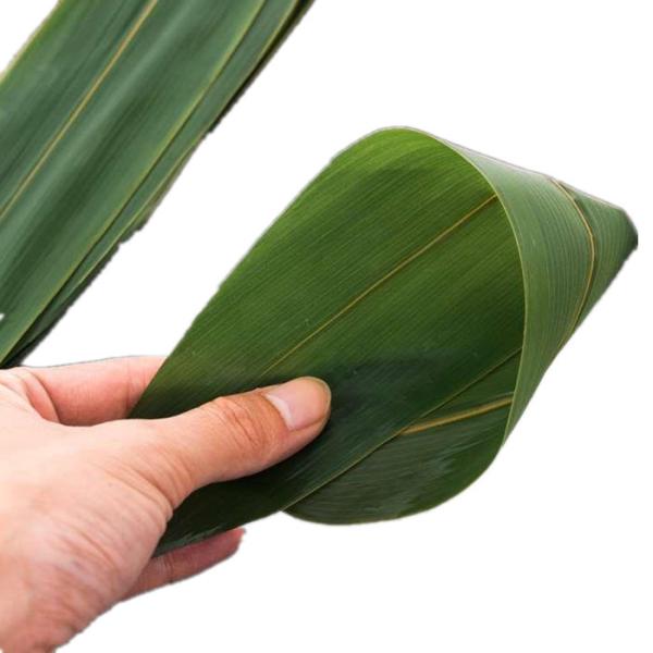 Vacuum Packed 23cm Fresh Bamboo Leaves For Rice Dumplings