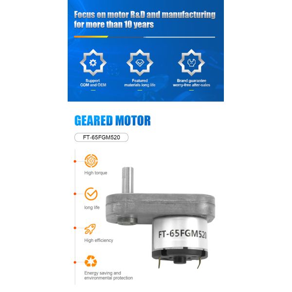 Custom 3-12V Low Rpm DC Gear Motor High Torque With Flat Gearbox