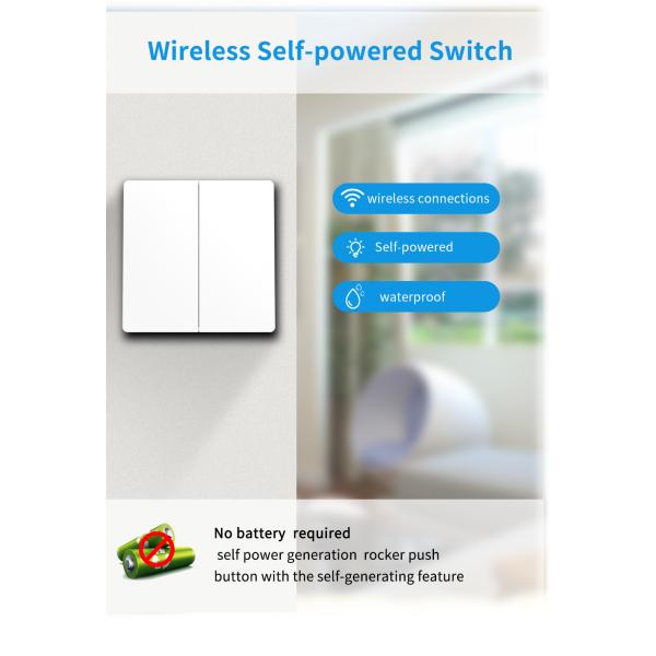 Отсутствие кнопки коромысла переключателя радиотелеграфа батареи выключателя кинетической само- приведенного в действие