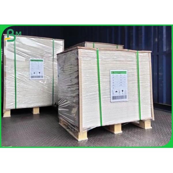 Solo tablero de papel revestido blanco de Kraft de 325 gramos para la caja disponible del takeaway de la comida