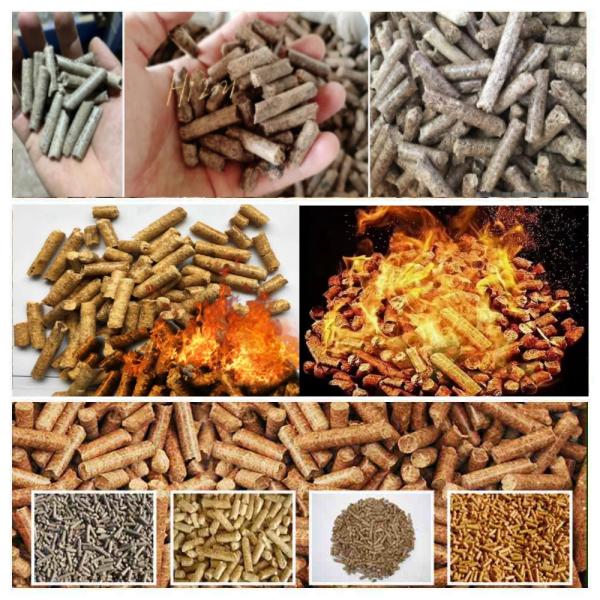 500-1000 кг/ч линия по производству древесных гранул / линия по производству биомассовых гранул 118 кВт