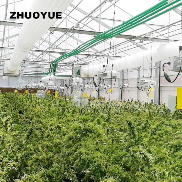 OEM Light Deprivation Greenhouse Controlled By Ventilation Humidity Control