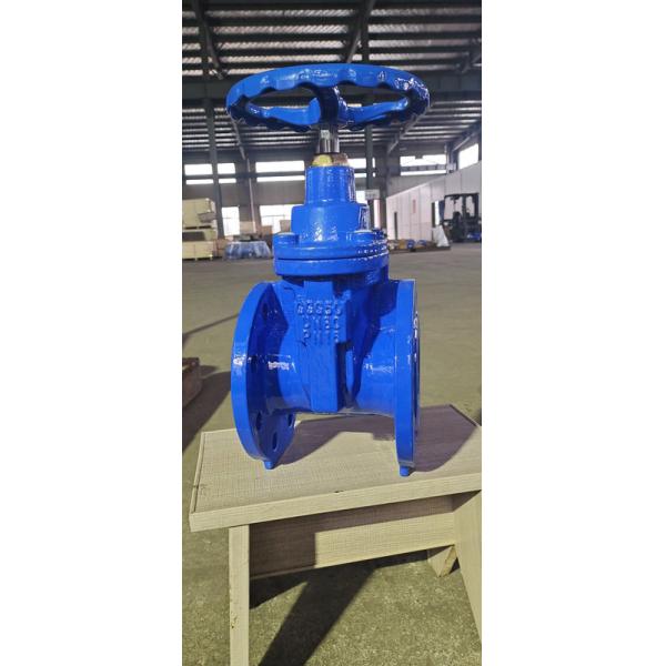 4" Flanged CI Soft Seat Gate Valve With Cap GB Standard