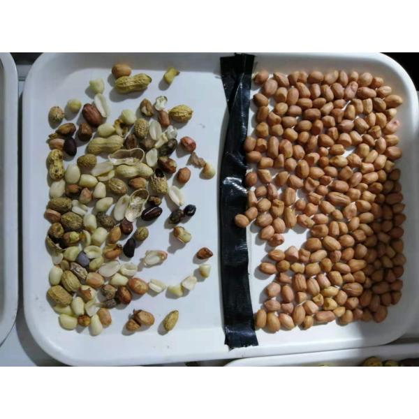 2023 Новый дизайн CCD Nuts Color Sorter Машина для разделения цвета грецкого ореха кешью кокосового ореха