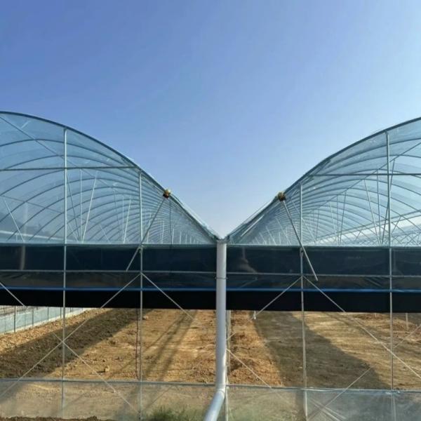 - Fait une serre hydroponique avec technologie anti-goutte à goutte