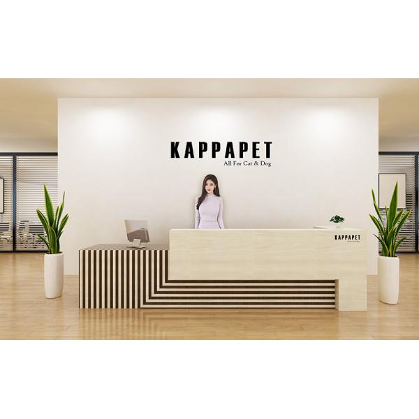 SPUPPS  LIMITED