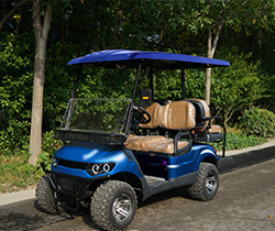 Custom Electric Golf Carts Electric Cart Golf with Front Disc and Rear Drum Brake System