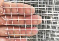 Hot Dip Galvanizado Rede de Arame de Ferro 1/2 polegada Soldado Rede de Arame de vedação Roll
