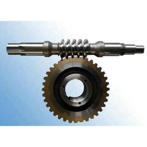 Electric Motor Worm Gear with Standard Module