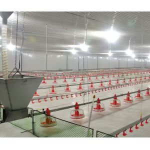 Broiler Breeder Raising Growing Equipment System Plant Line Layer Floor Farming Poultry Chicken House