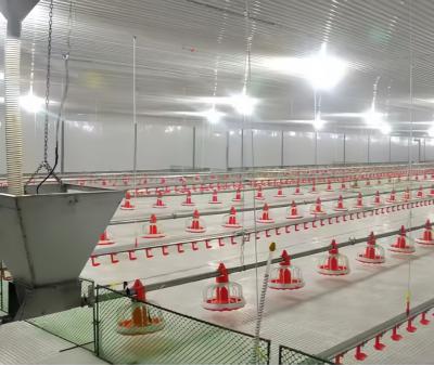 Élevage de poulets de chair Système d'équipement de culture Ligne d'usine Couche de plancher Élevage de volaille Poulailler