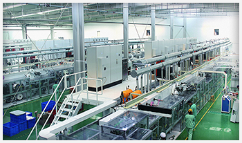 Экологически чистый подгузник для собак для собак 6 размеров