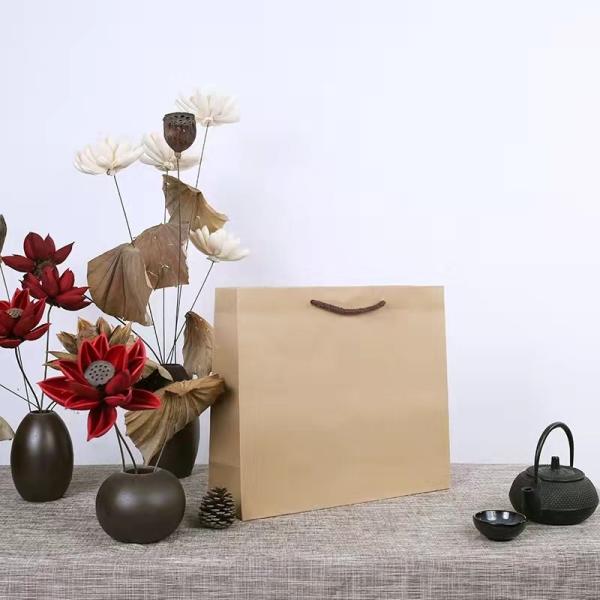 brown craft Promotional Paper Bags Zipper Top for Shoes clothing
