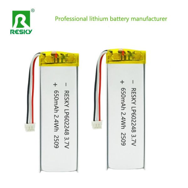 PCM Protected 602248 3.7V 650mAh Lithium Polymer Battery With 10K NTC For Smart Wearables