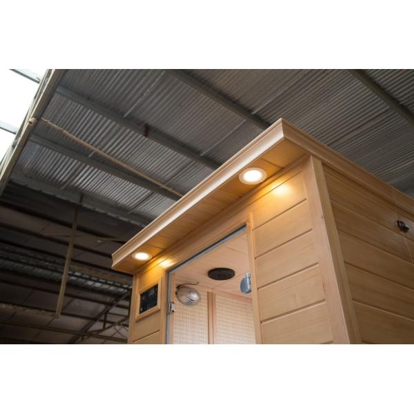 Computer control panel steam bath sauna room household detoxification and sweat fumigationEliminate dampness and cold