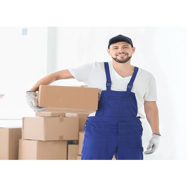 Hppe Liner Cut Proof Work Gloves , Cut Level 5 Safety Gloves For Vegetables Cutting