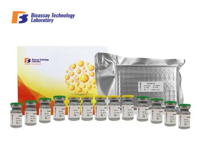 Sandwich Type Canine Symmetric Dimethylarginine ELISA Kit Customized With 2 Hours Assay Time
