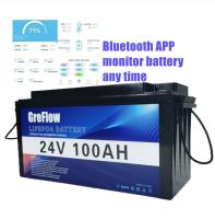 BMS futé 24 batteries profondes de cycle de phosphate de fer de lithium de volt pour le rv marin
