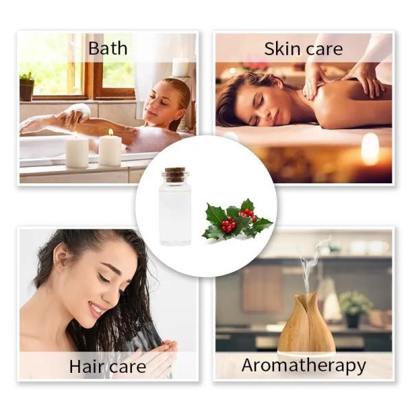 CAS 68917 75 9 Herbal Essential Oils Methyl Salicylate Holly Essential Oil