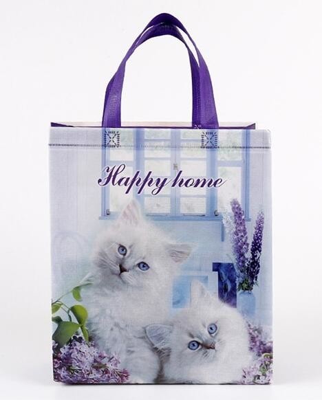 Custom Promotional shopping tote fabric polypropylene laminated pp non woven bag