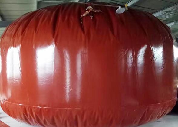 Customizable Biogas Digester Tank for Renewable Energy Production and Waste Treatment