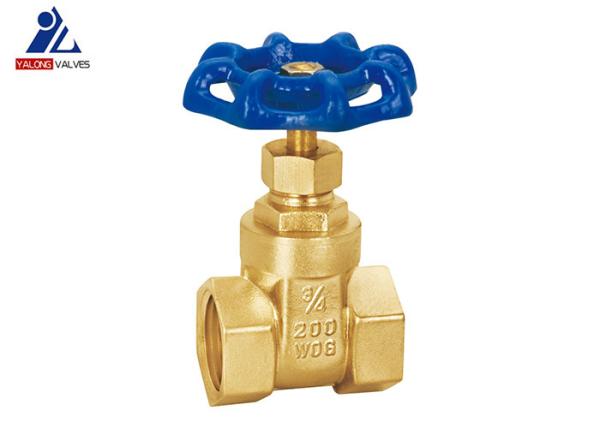 Female NPT 2 Inch Gas Gate Valve PTFE Blue Gate Valve Handle