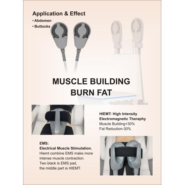 White 7 Tesla EMS Muscle Stimulator Machine Air Cooling For Weight Loss