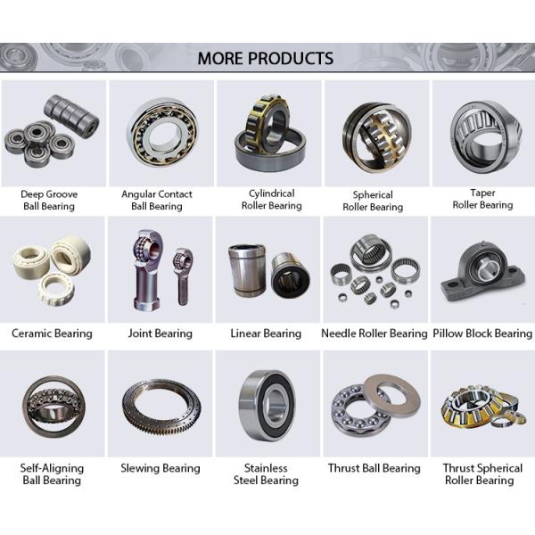 Торговое обеспечение NN3010k моделирует цилиндрический подшипник ролика 50x80x23 mm