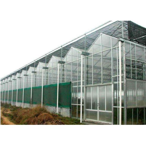 Agricultural Polycarbonate Sheet Greenhouse Double Arch Multi Span Structure Frame