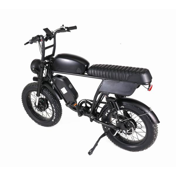 Electric Dirt Bike for Adult Dropshipping 48v 750w 1000w Dual Motor Lithium Battery Retro Bike