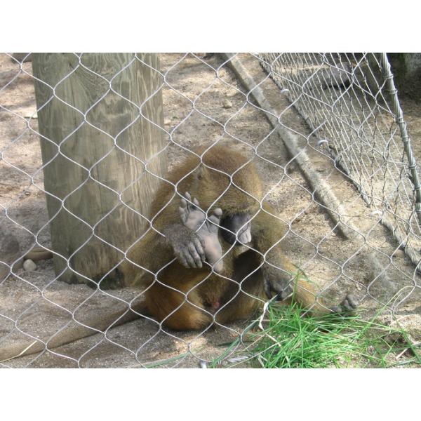 Загородка сетки веревочки Ferrule нержавеющей стали 7 x 7 высокопрочная для животных клеток