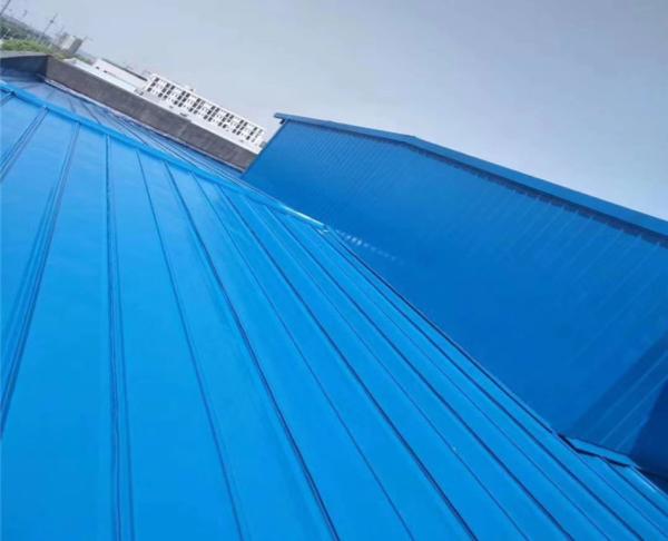 Traditional Design Style Waterproof Coating Powder or Liquid for Long Lasting Waterproofing