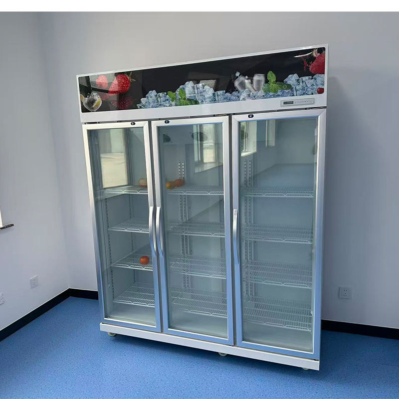 1300L Upright Beverage Cooler Single Temperature Refrigerated Beverage Cooler Commercial