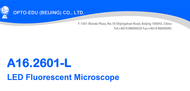 OPTO-EDU A16.2601 40x - 1000x люминесцентный микроскоп СИД Trinocular для исследования/учить