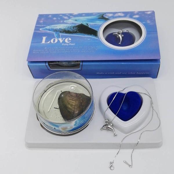 DIY Love Pearl Gift Box Oyster Cage Pendant With Neckalce for Perfect Gifts to your Lover , Mother , Girl friend , Wife
