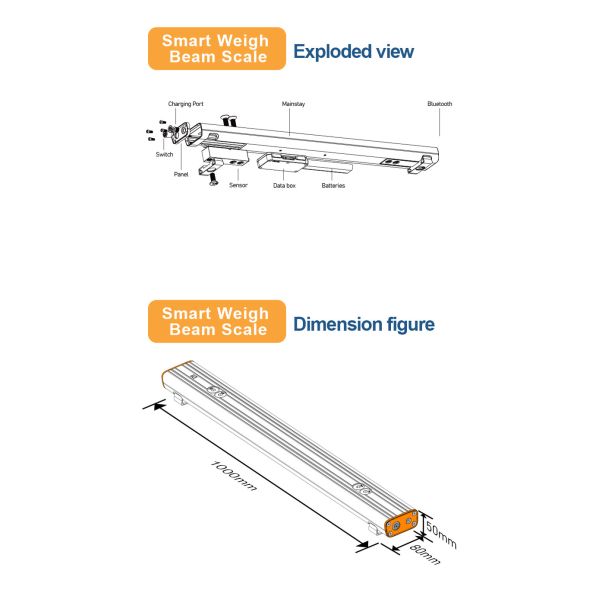 Lightweight Smart Weigh Beam Scale with Bluetooth Printer and 3000kg Load Capacity for Warehousing